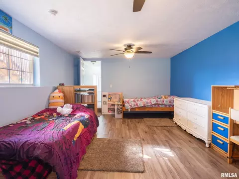 205 Bittersweet Ave, Germantown Hills, IL 61548 photo 45