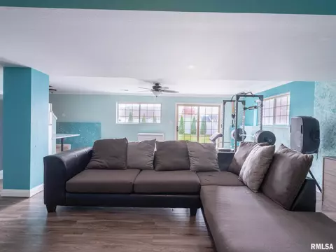 205 Bittersweet Ave, Germantown Hills, IL 61548 photo 40