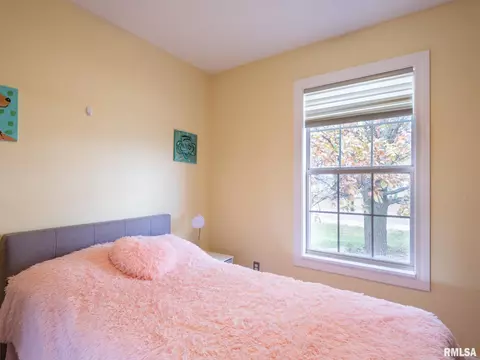205 Bittersweet Ave, Germantown Hills, IL 61548 photo 35