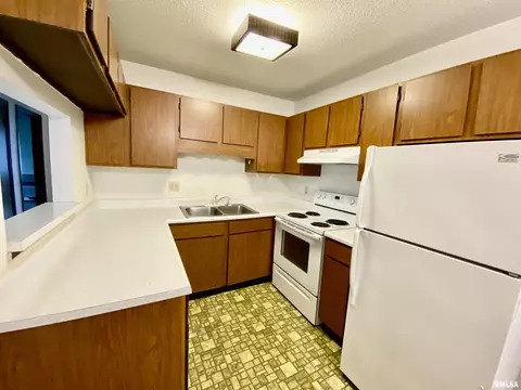 1300 Eagle Ave, Washington, IL 61571 photo 10