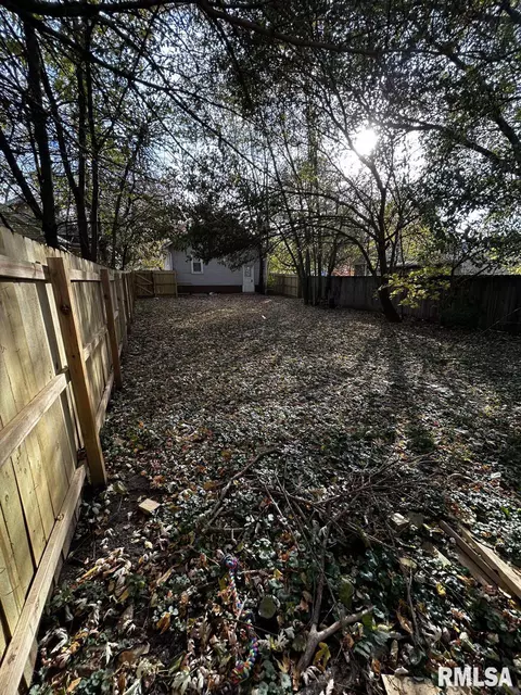 1013 E Willcox Ave, Peoria, IL 61603 photo 17