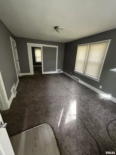 1013 E Willcox Ave, Peoria, IL 61603 photo 5