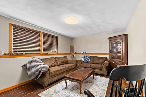 329 S Maplewood Blvd, Dunlap, IL 61525 photo 30