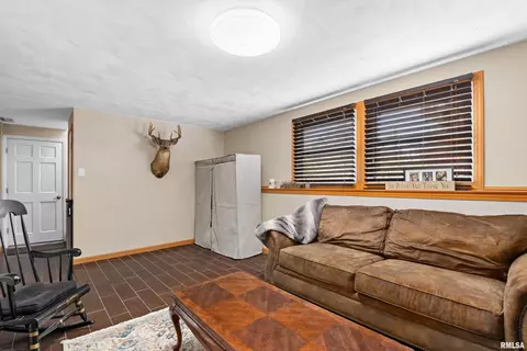 329 S Maplewood Blvd, Dunlap, IL 61525 photo 32