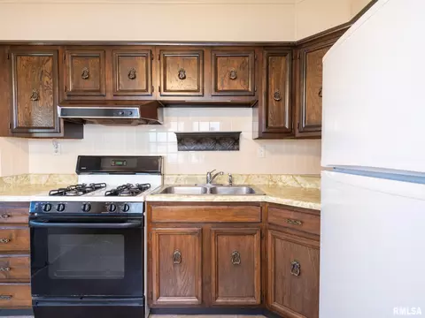 1111 E Gift Ave, Peoria, IL 61603 photo 14
