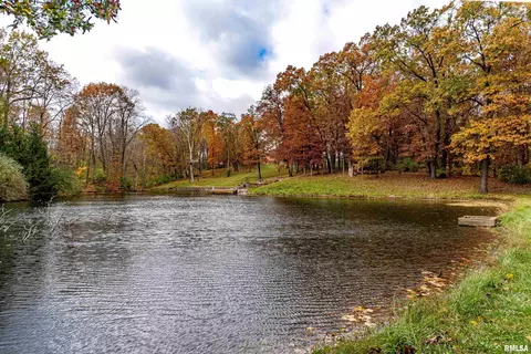 View/Area - 16036 King Rd, Danvers, IL 61732 photo 5 of 5
