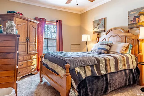 Bedroom - 16036 King Rd, Danvers, IL 61732 photo 7 of 9