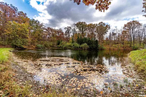 View/Area - 16036 King Rd, Danvers, IL 61732 photo 3 of 5