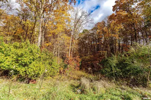 Other - 16036 King Rd, Danvers, IL 61732 photo 21 of 24