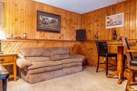 Other - 16036 King Rd, Danvers, IL 61732 photo 11 of 24