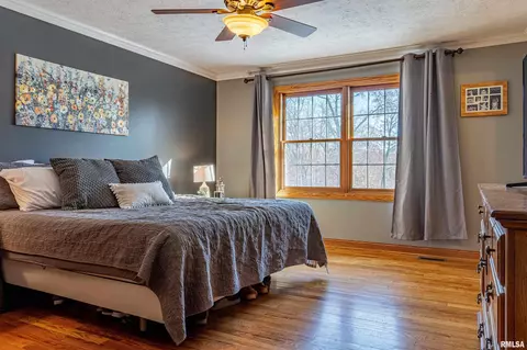 Bedroom - 16036 King Rd, Danvers, IL 61732 photo 1 of 9