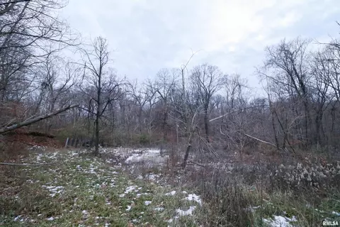 1788 Woodland Knolls Rd, Metamora, IL 61548