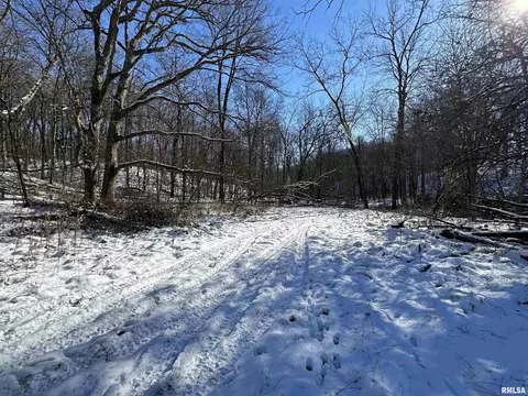 0 N Maple Tree Rd, Ipava, IL 61441 photo 38