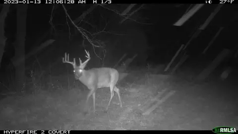 0 N Maple Tree Rd, Ipava, IL 61441 photo 16