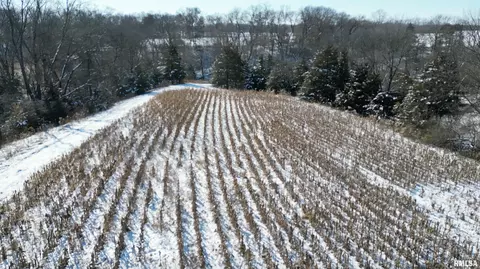 0 N Maple Tree Rd, Ipava, IL 61441 photo 31