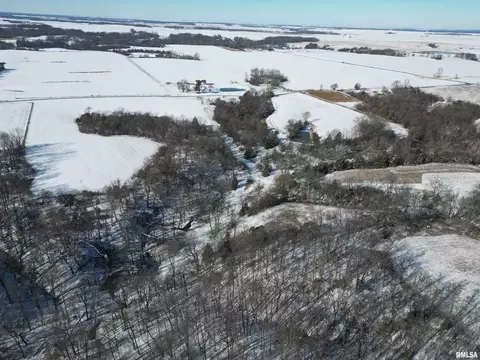 0 N Maple Tree Rd, Ipava, IL 61441 photo 5