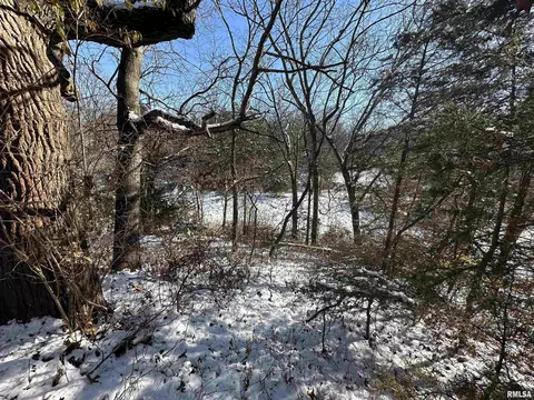 0 N Maple Tree Rd, Ipava, IL 61441 photo 42