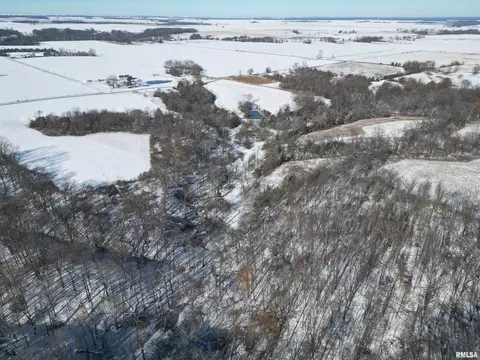 0 N Maple Tree Rd, Ipava, IL 61441 photo 4