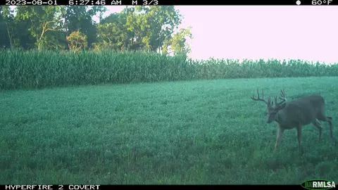 0 N Maple Tree Rd, Ipava, IL 61441 photo 23