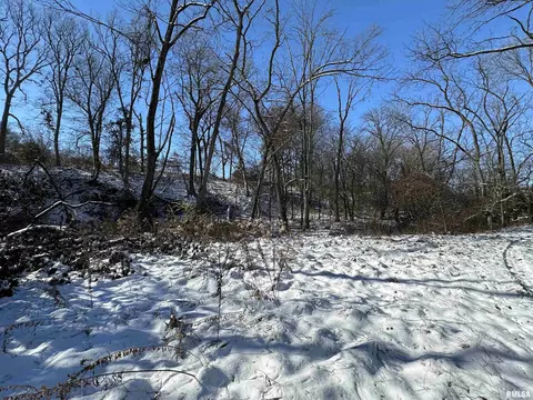 0 N Maple Tree Rd, Ipava, IL 61441 photo 37