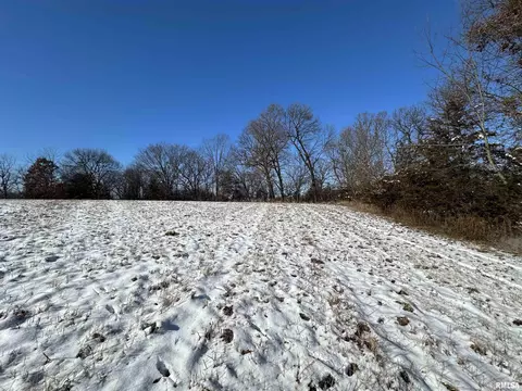 0 N Maple Tree Rd, Ipava, IL 61441 photo 41