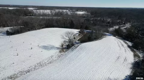 0 N Maple Tree Rd, Ipava, IL 61441 photo 35