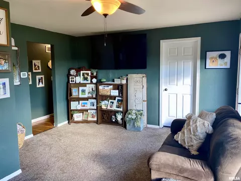 29266 E Big Barn Rd, Canton, IL 61520 photo 9