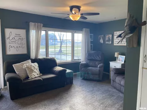 29266 E Big Barn Rd, Canton, IL 61520 photo 8