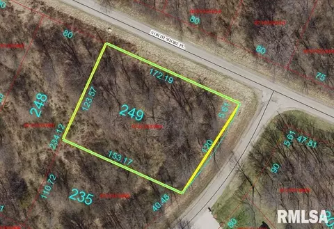 249 N Shore Pl, Dahinda, IL 61428