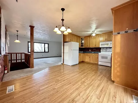 7668 E Manito Rd, Manito, IL 61546 photo 10