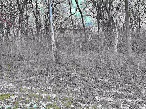 7668 E Manito Rd, Manito, IL 61546 photo 45