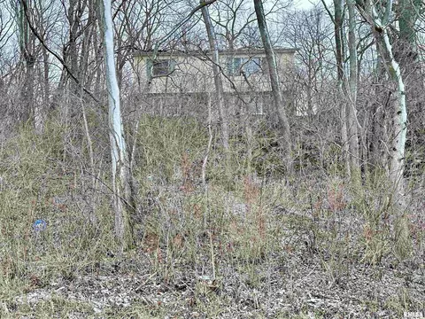 7668 E Manito Rd, Manito, IL 61546 photo 44