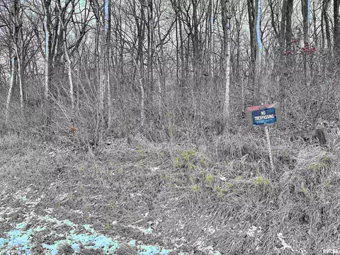7668 E Manito Rd, Manito, IL 61546 photo 47