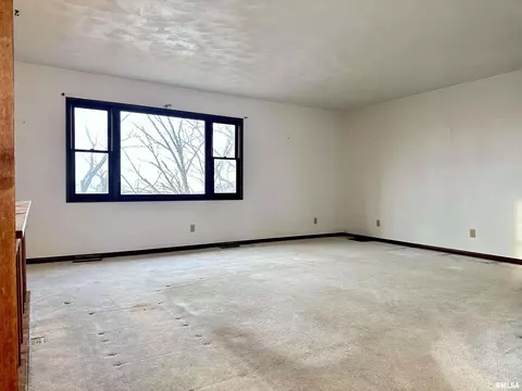 7668 E Manito Rd, Manito, IL 61546 photo 14