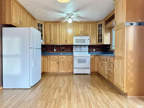 7668 E Manito Rd, Manito, IL 61546 photo 11