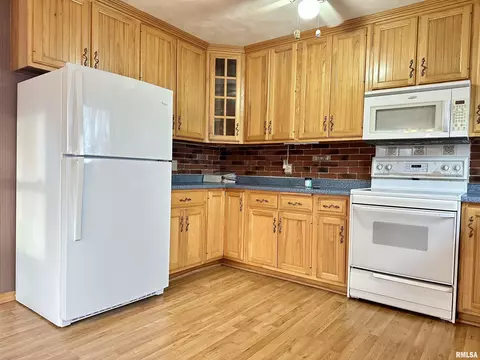 7668 E Manito Rd, Manito, IL 61546 photo 12