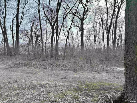 7668 E Manito Rd, Manito, IL 61546 photo 5