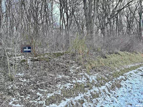 7668 E Manito Rd, Manito, IL 61546 photo 46