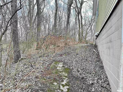 7668 E Manito Rd, Manito, IL 61546 photo 38