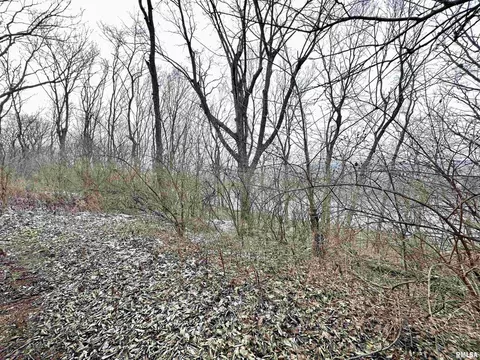 7668 E Manito Rd, Manito, IL 61546 photo 41