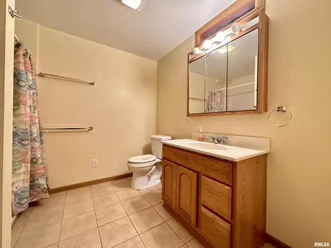 7668 E Manito Rd, Manito, IL 61546 photo 31