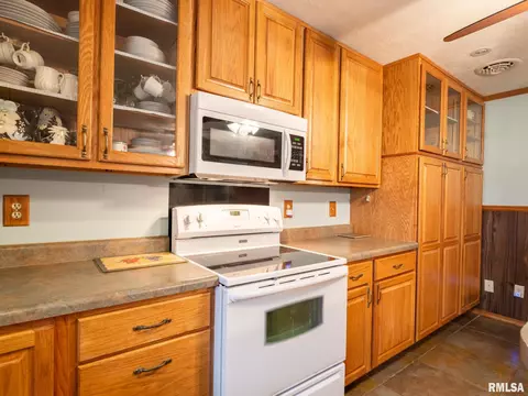 19842 Cedar Bluff Rd, Delavan, IL 61734 photo 31