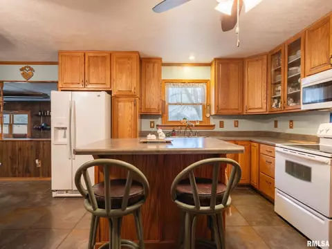 19842 Cedar Bluff Rd, Delavan, IL 61734 photo 25
