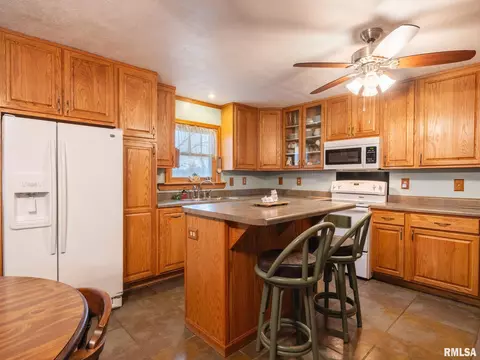 19842 Cedar Bluff Rd, Delavan, IL 61734 photo 24