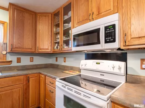 19842 Cedar Bluff Rd, Delavan, IL 61734 photo 27