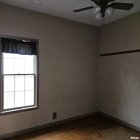 358 W Pine St, Canton, IL 61520 photo 37