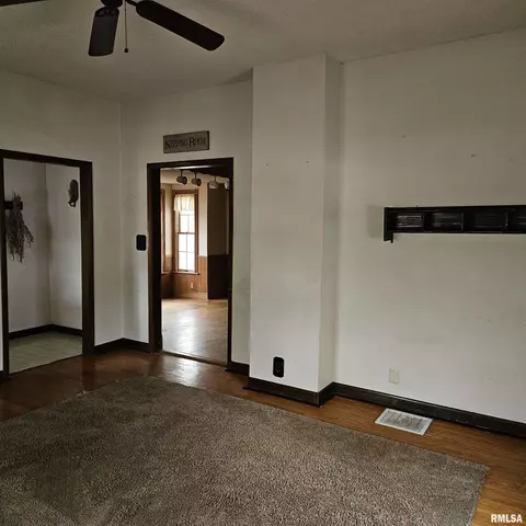 358 W Pine St, Canton, IL 61520 photo 9