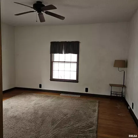 358 W Pine St, Canton, IL 61520 photo 8