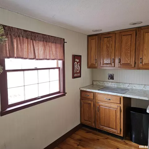 358 W Pine St, Canton, IL 61520 photo 25