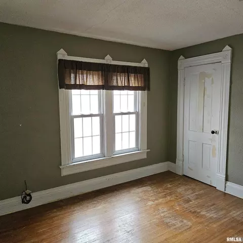 358 W Pine St, Canton, IL 61520 photo 32